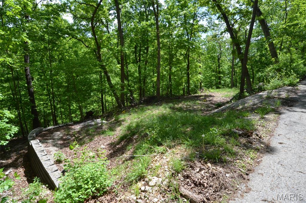 1730 Chimney Top Farms Road Wildwood, MO 63038 - Photo 25 of 27