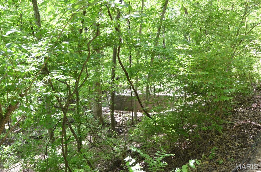 1730 Chimney Top Farms Road Wildwood, MO 63038 - Photo 26 of 27