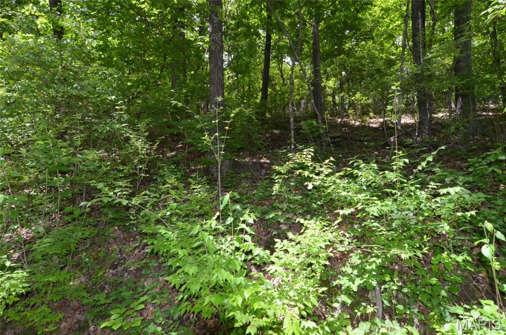 1730 Chimney Top Farms Road Wildwood, MO 63038 - Photo 3 of 27