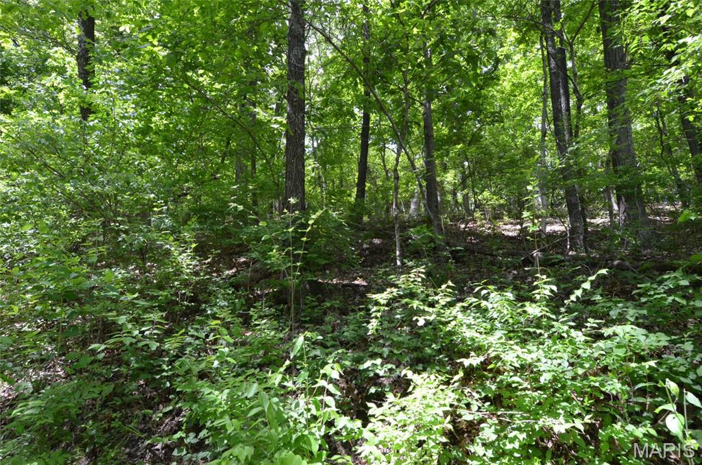 1730 Chimney Top Farms Road Wildwood, MO 63038 - Photo 4 of 27