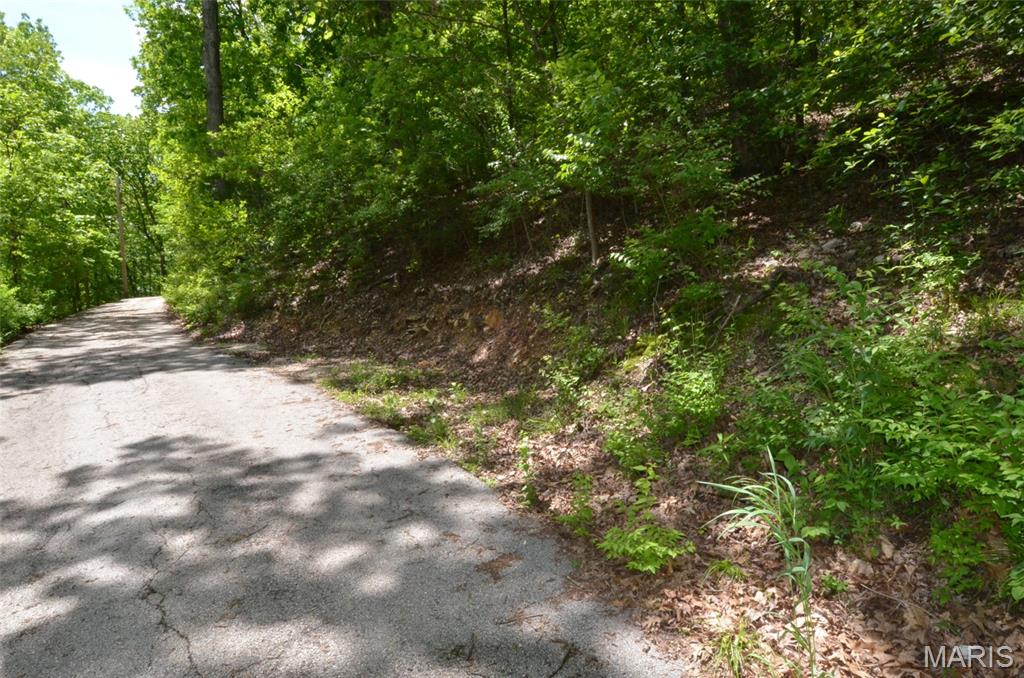 1730 Chimney Top Farms Road Wildwood, MO 63038 - Photo 5 of 27