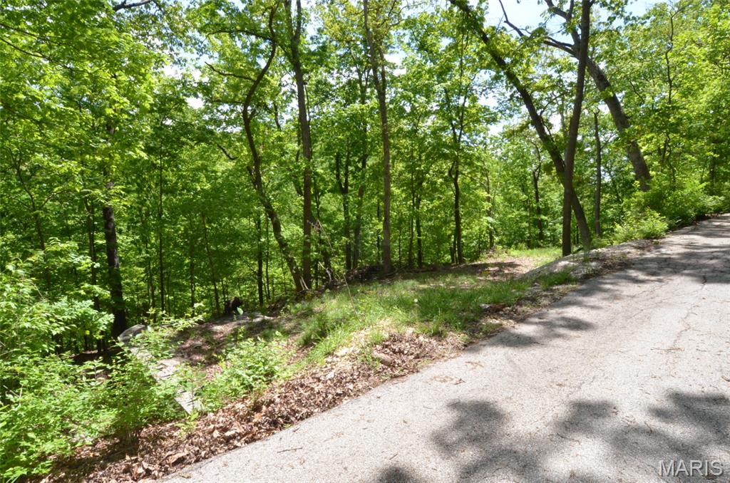 1730 Chimney Top Farms Road Wildwood, MO 63038 - Photo 6 of 27