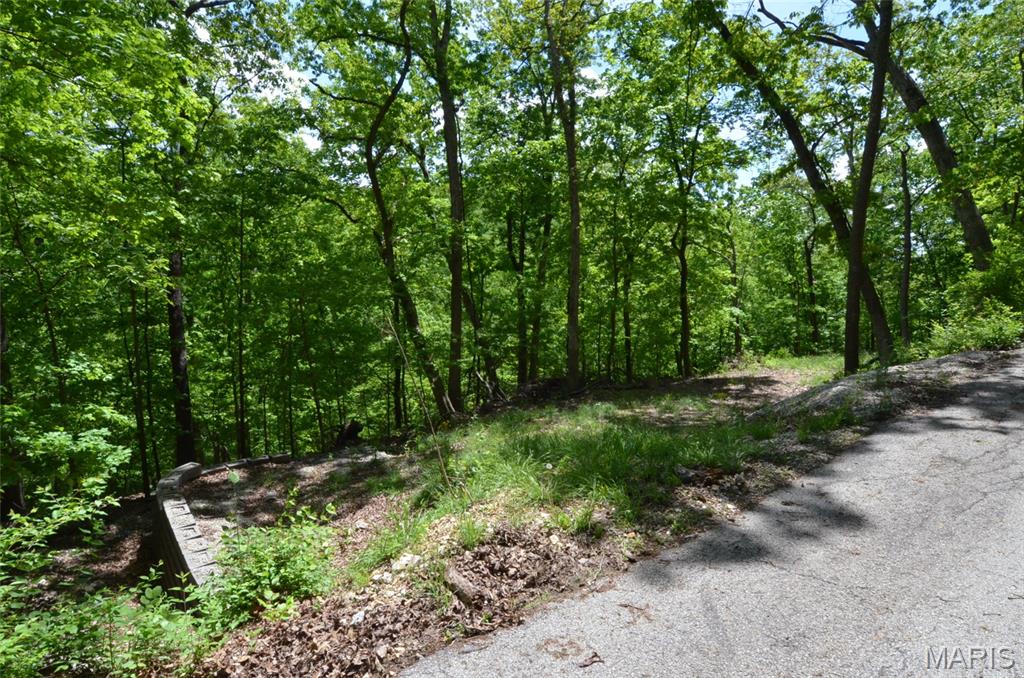 1730 Chimney Top Farms Road Wildwood, MO 63038 - Photo 7 of 27