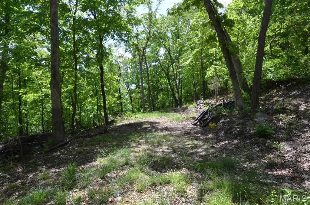 1730 Chimney Top Farms Road Wildwood, MO 63038 - Photo 9 of 27