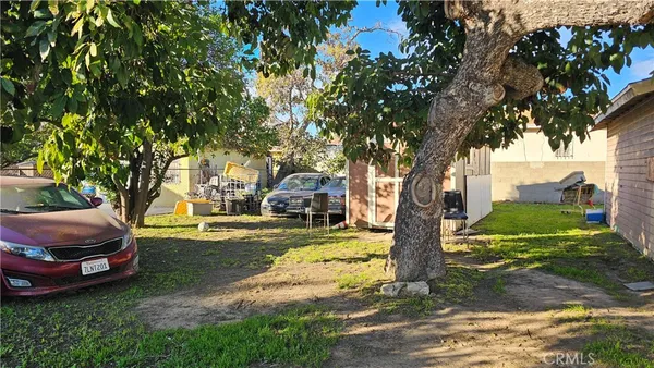 a view of a yard with plants and trees