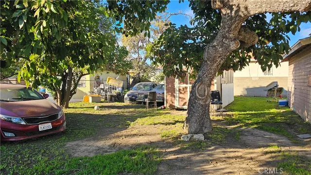 a view of a yard with plants and trees