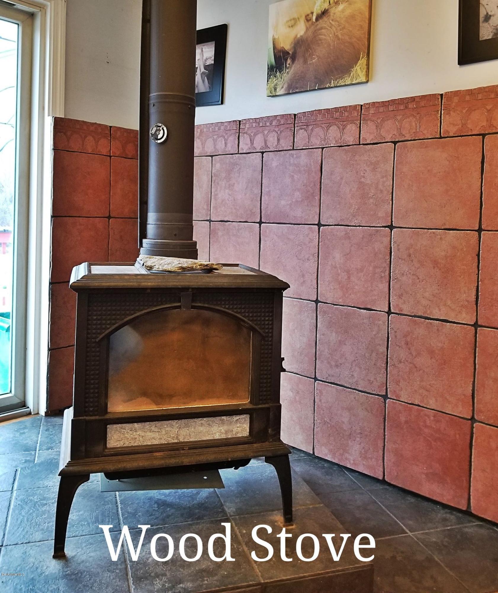 156 Luce Road Williamstown, MA 01267 - Photo 20 of 22 Wood Stove