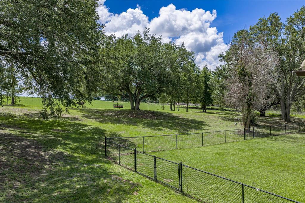 37624 Sky Ridge Circle Dade City, FL 33525 - Photo 79 of 83