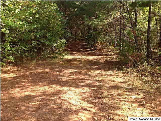 0 County Road 229, Unit 22 AC Fruithurst, AL 36262 - Photo 1 of 12