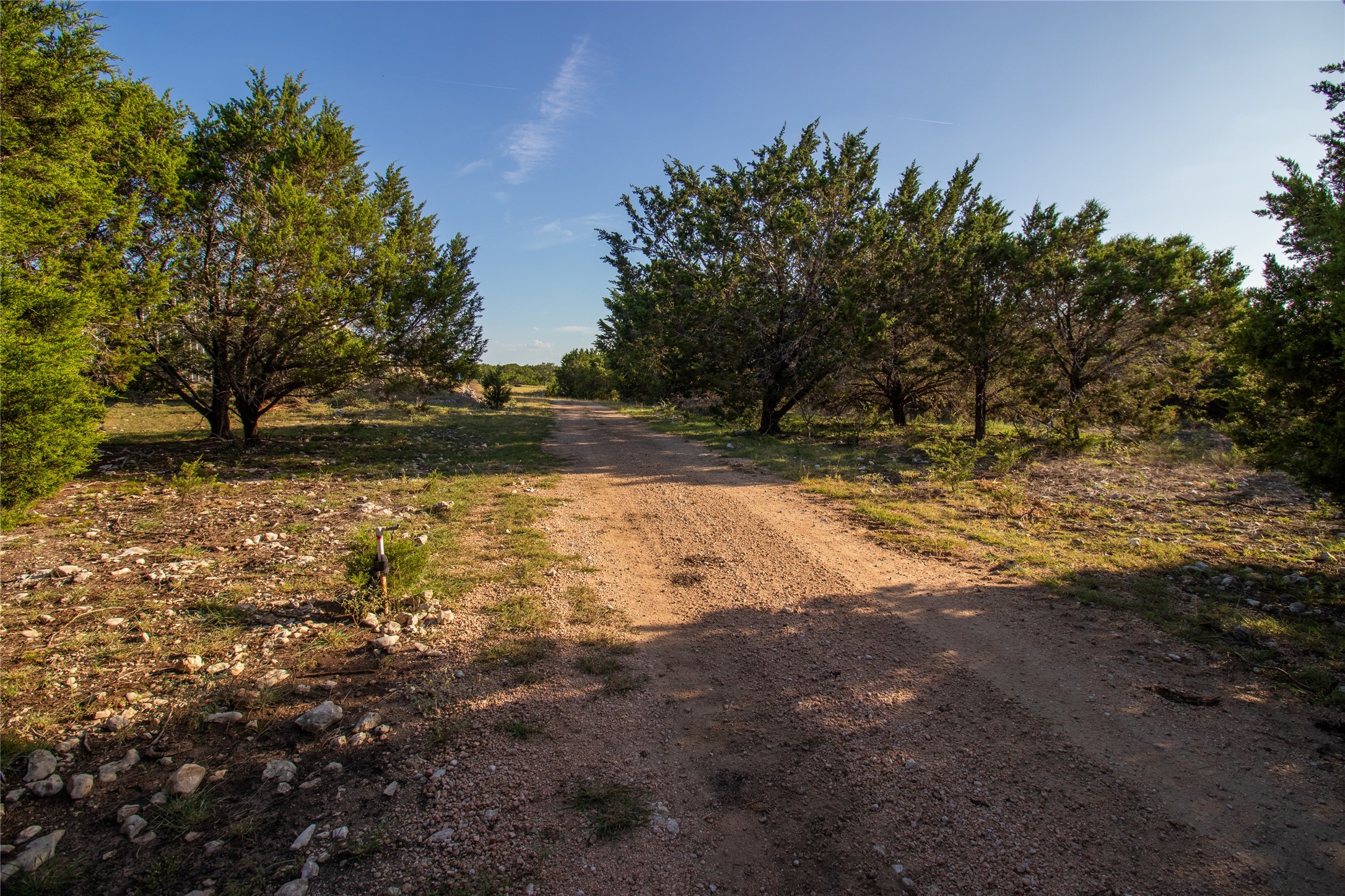 4237 County Road 330 Burnet, TX 78611 - Photo 38 of 40 a view of a yard with a tree