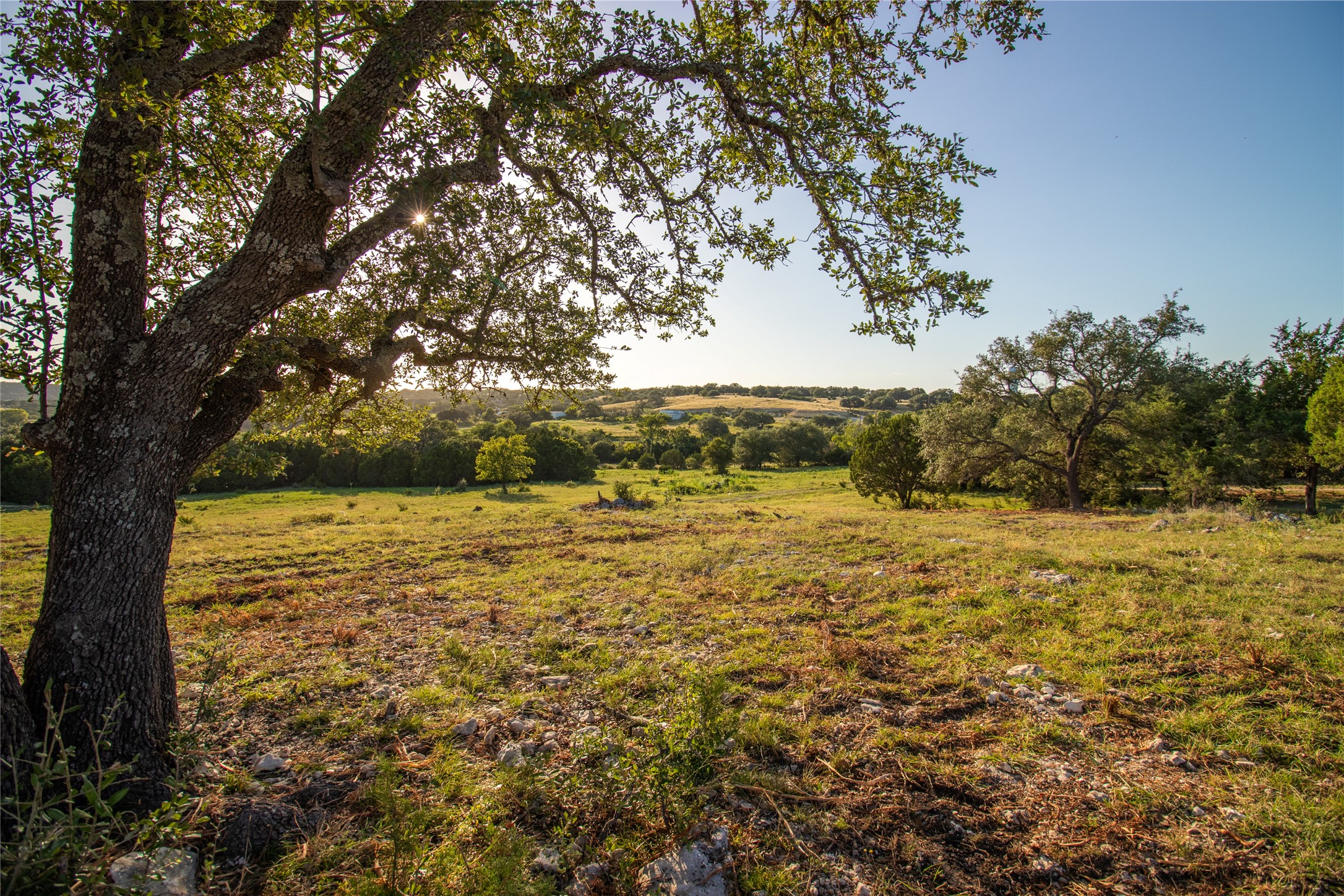 4237 County Road 330 Burnet, TX 78611 - Photo 5 of 40 View of yard with a view of rural / pastoral area