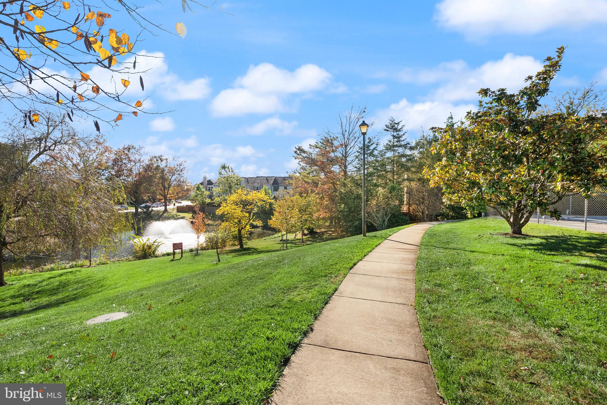 6905 Keyser Way Alexandria, VA 22310 - Photo 38 of 50 a view of a park with large trees