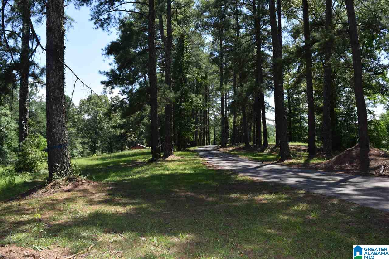 40 Armstrong Loop Hayden, AL 35079 - Photo 20 of 45