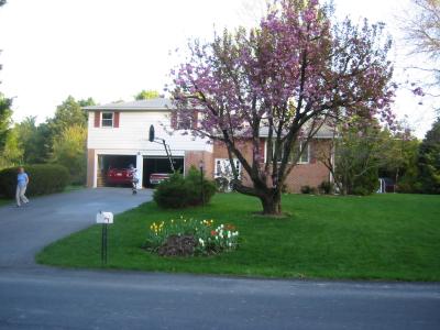Photo supplied by Seller of Last Spring.