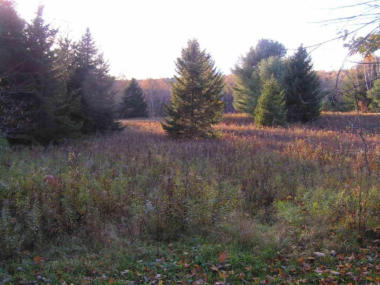 170 Bailey Road Maryland, NY 12155 - Photo 1 of 4 Photo 1