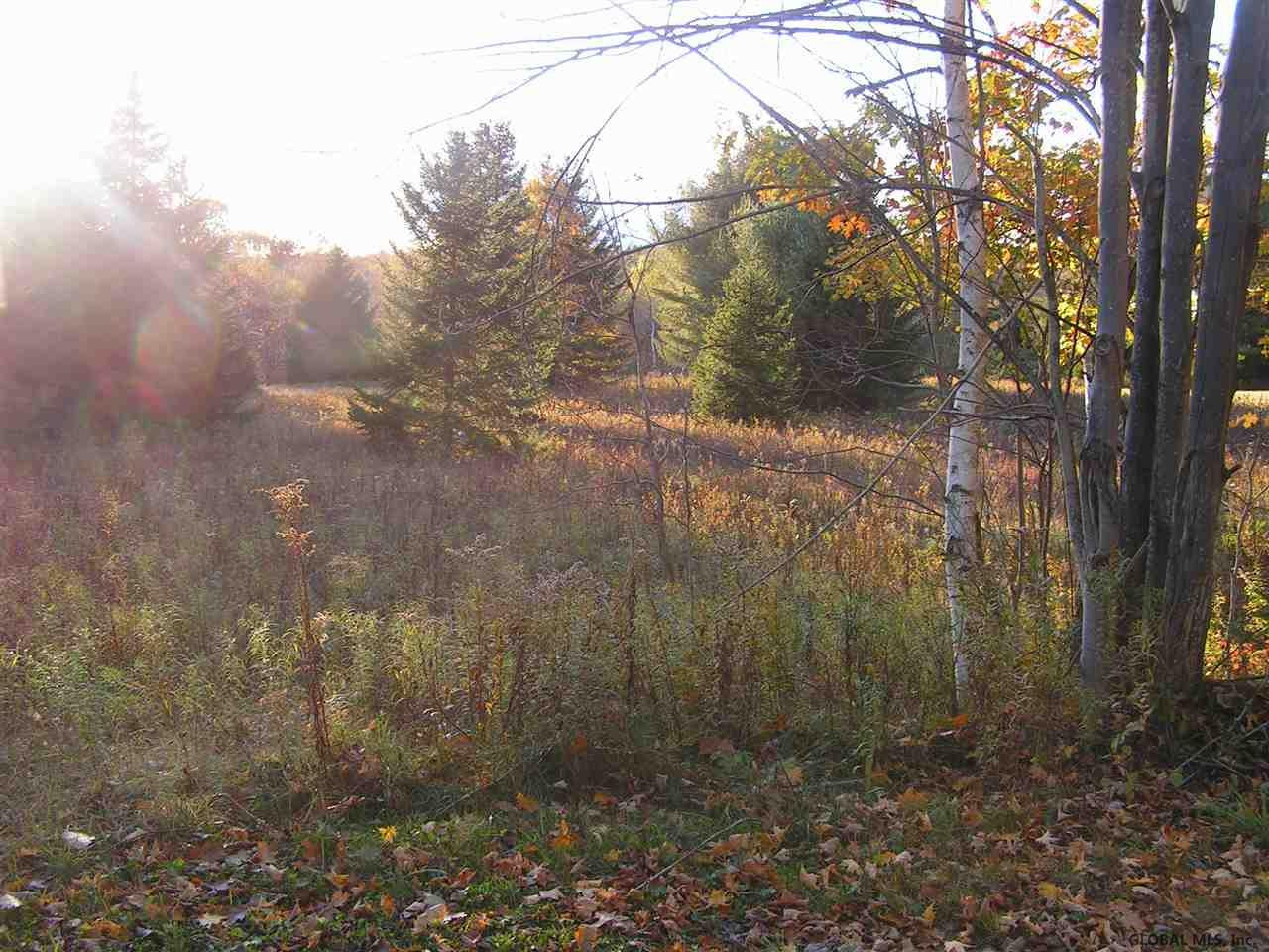 170 Bailey Road Maryland, NY 12155 - Photo 3 of 4 Photo 3