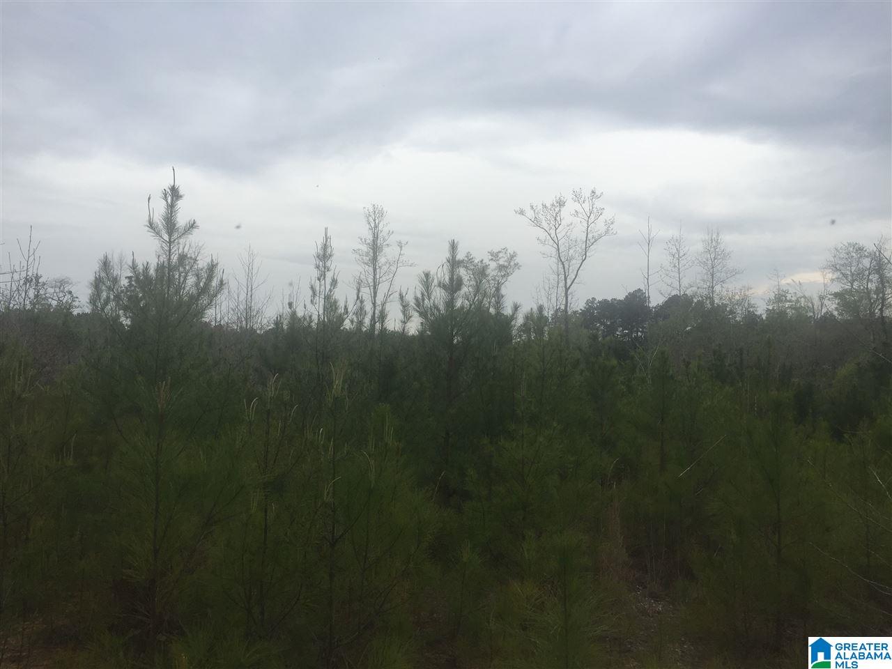 12 Highway Of Bishop Ridge Road, Unit CORNER West Blocton, AL 35184 - Photo 5 of 6