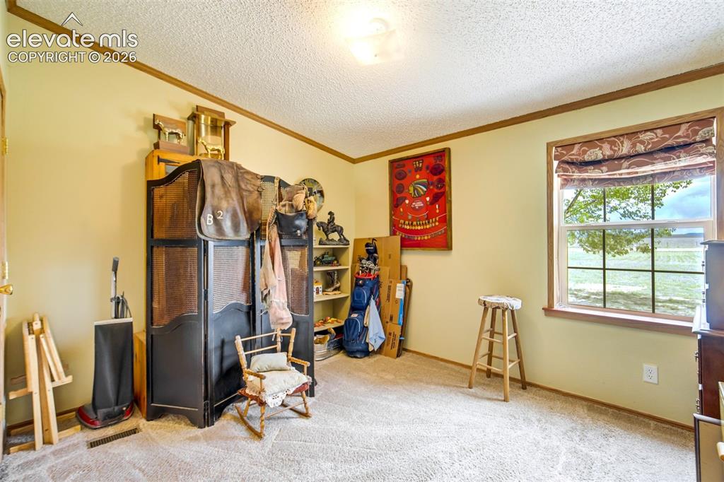22120 McDaniels Road Calhan, CO 80808 - Photo 20 of 49