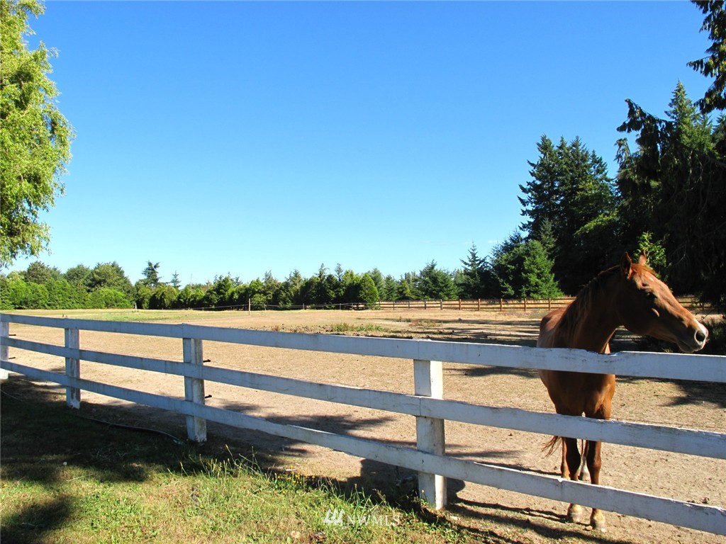136 Finn Hall Road Port Angeles, WA 98362 - Photo 11 of 16