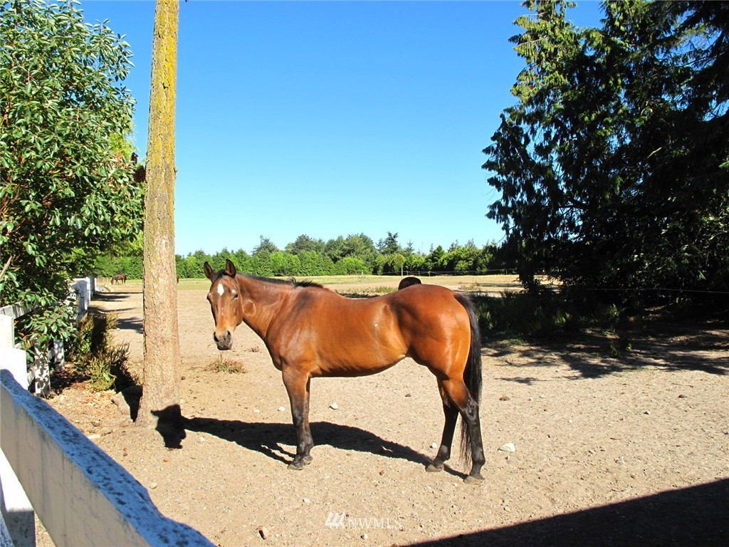 136 Finn Hall Road Port Angeles, WA 98362 - Photo 10 of 16
