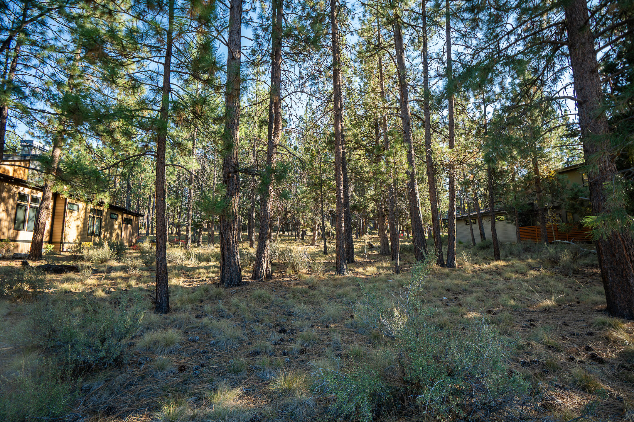 61464 Meeks Trail Bend, OR 97702 - Photo 10 of 16 10