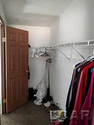 1178 West Carleton Road Adrian, MI 49221 - Photo 8 of 12
