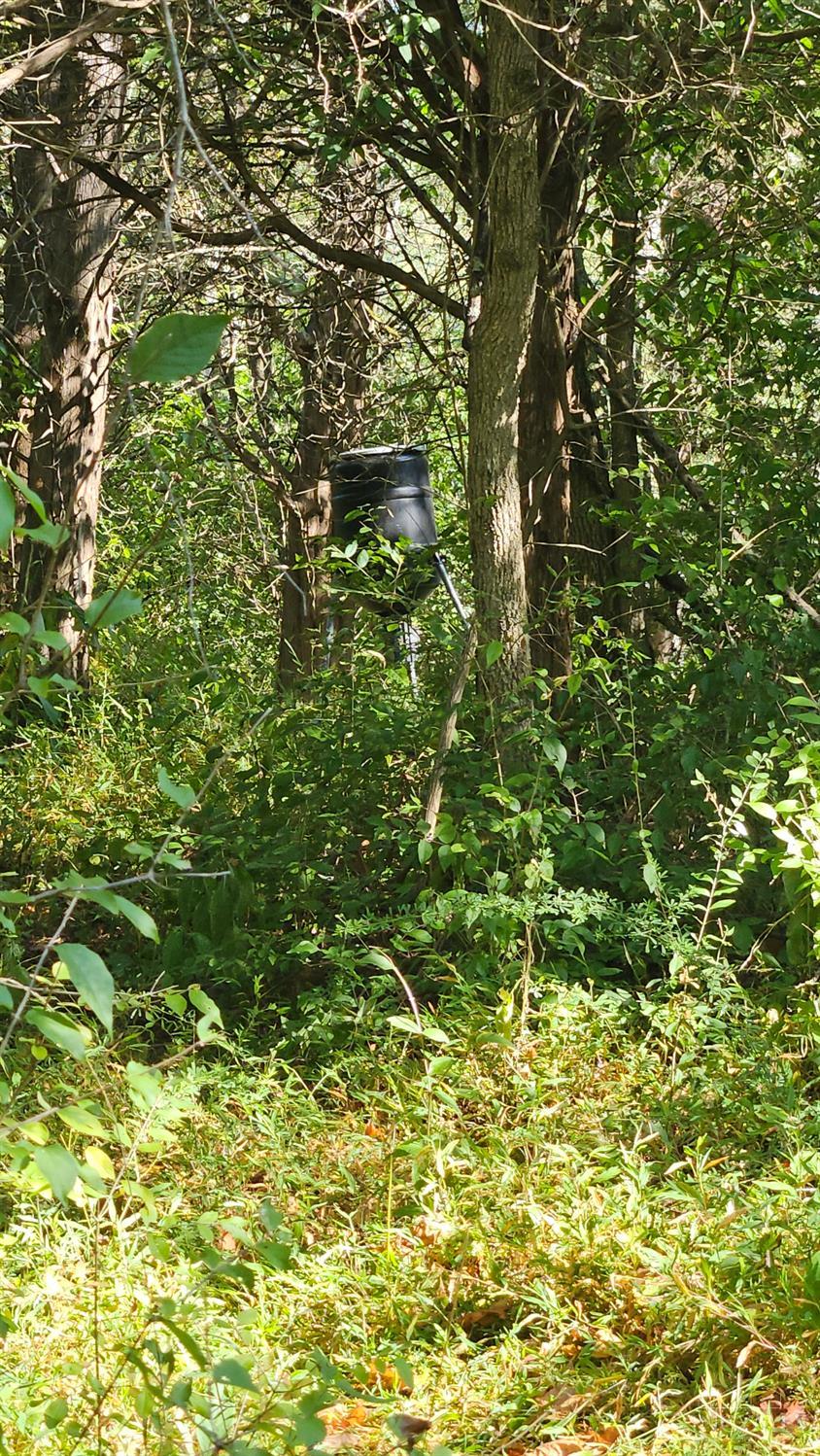 0 Wrangle Run Road Ripley, OH 45167 - Photo 26 of 39