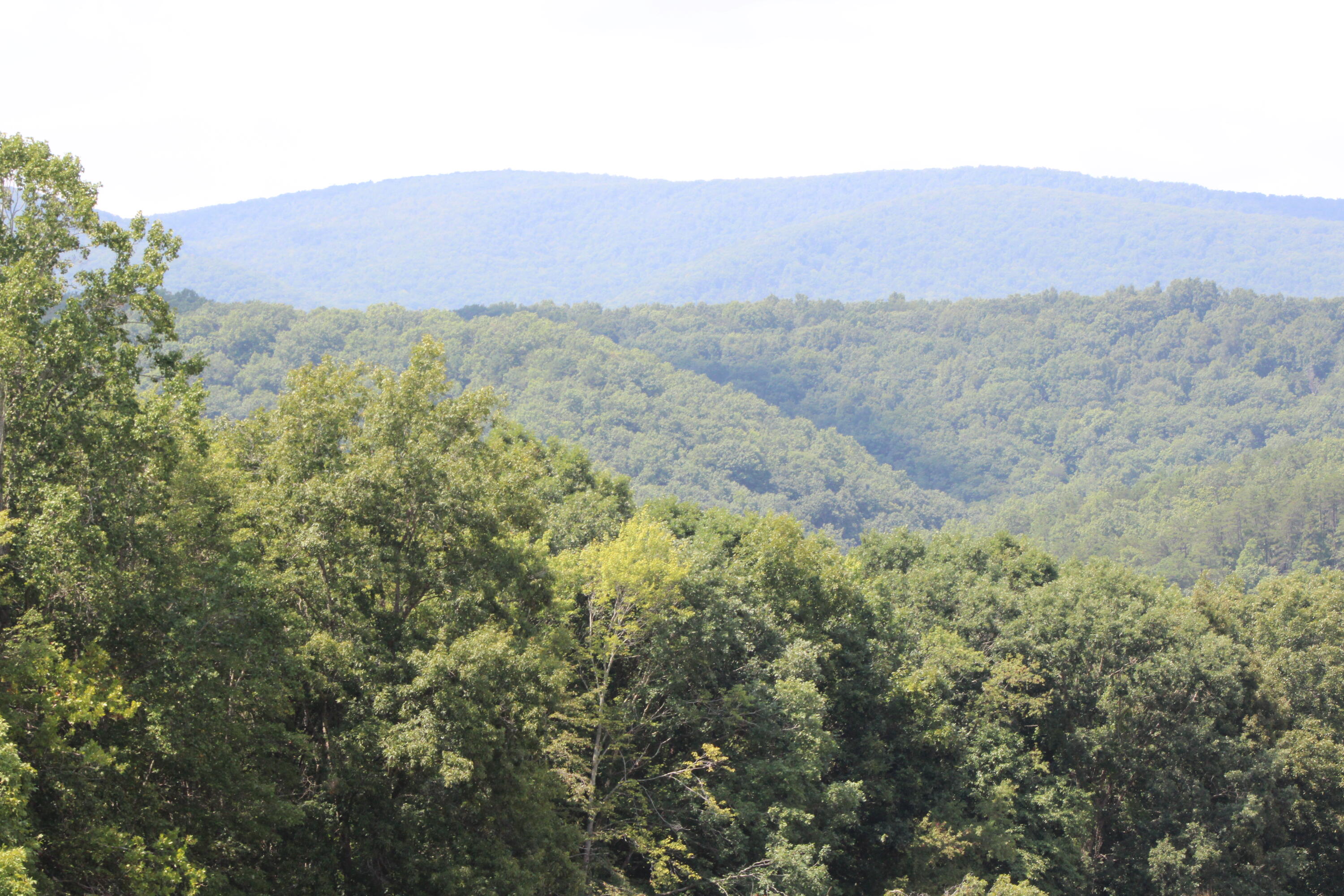 2816 Johns Creek Road New Castle, VA 24127 - Photo 17 of 96 IMG_0114