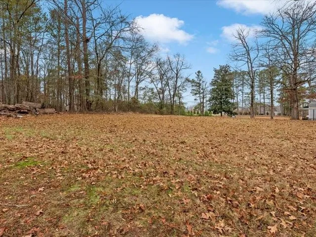 a view of a yard with trees