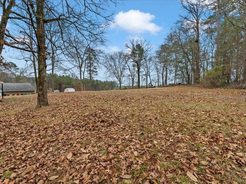 4624 Macland Road Hiram, GA 30141 - Photo 30 of 30 a view of a yard with trees