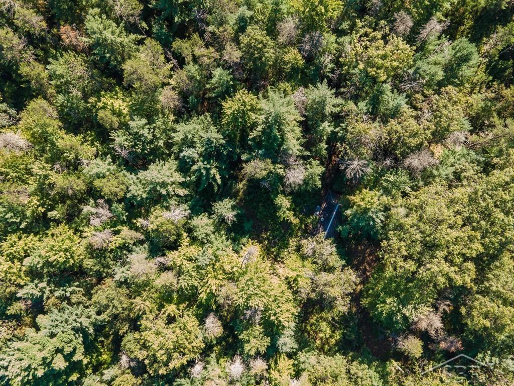 Vl Fireline Trail Alger, MI 48610 - Photo 10 of 15