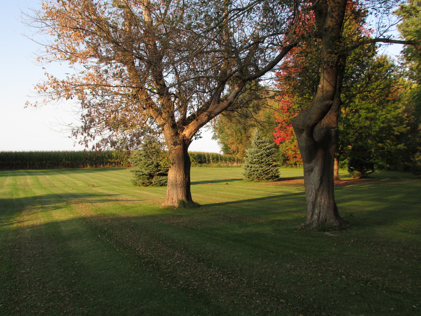 1844 Center Street Lee Center, IL 61310 - Photo 18 of 27 a view of an outdoor space and yard