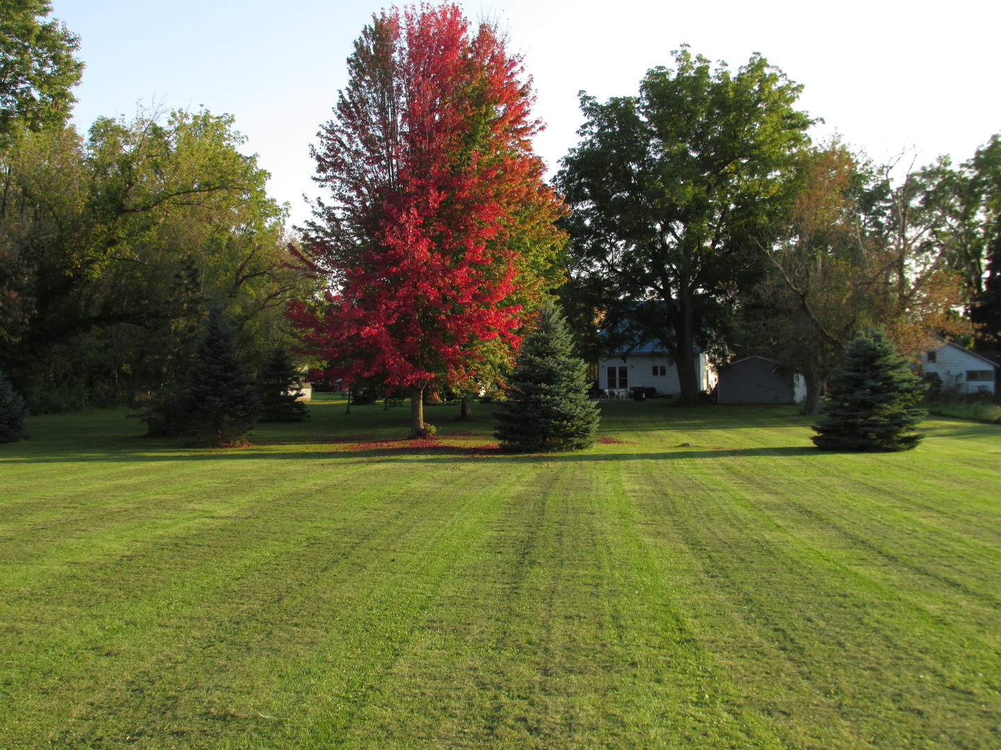 1844 Center Street Lee Center, IL 61310 - Photo 23 of 27 a view of outdoor space