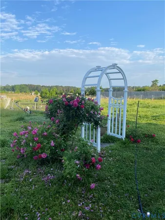 a view of a flower in a yard with a fountain