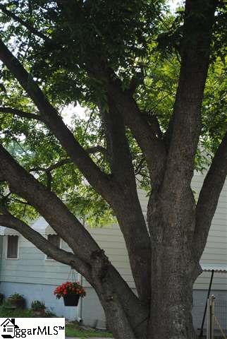 16 Blair Street Greenville, SC 29607 - Photo 26 of 26
