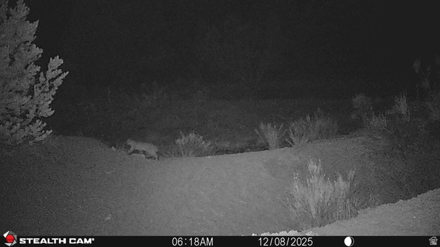 123 Tbd Forest Service Rd 640a (s Salina, UT 84654 - Photo 12 of 69 Exterior view