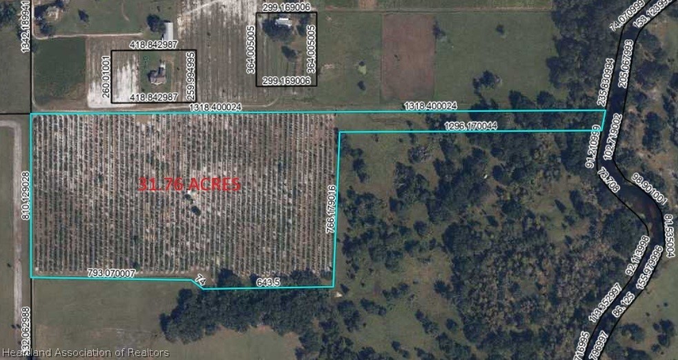 2794 Bessie Road Wauchula, FL 33873 - Photo 1 of 2