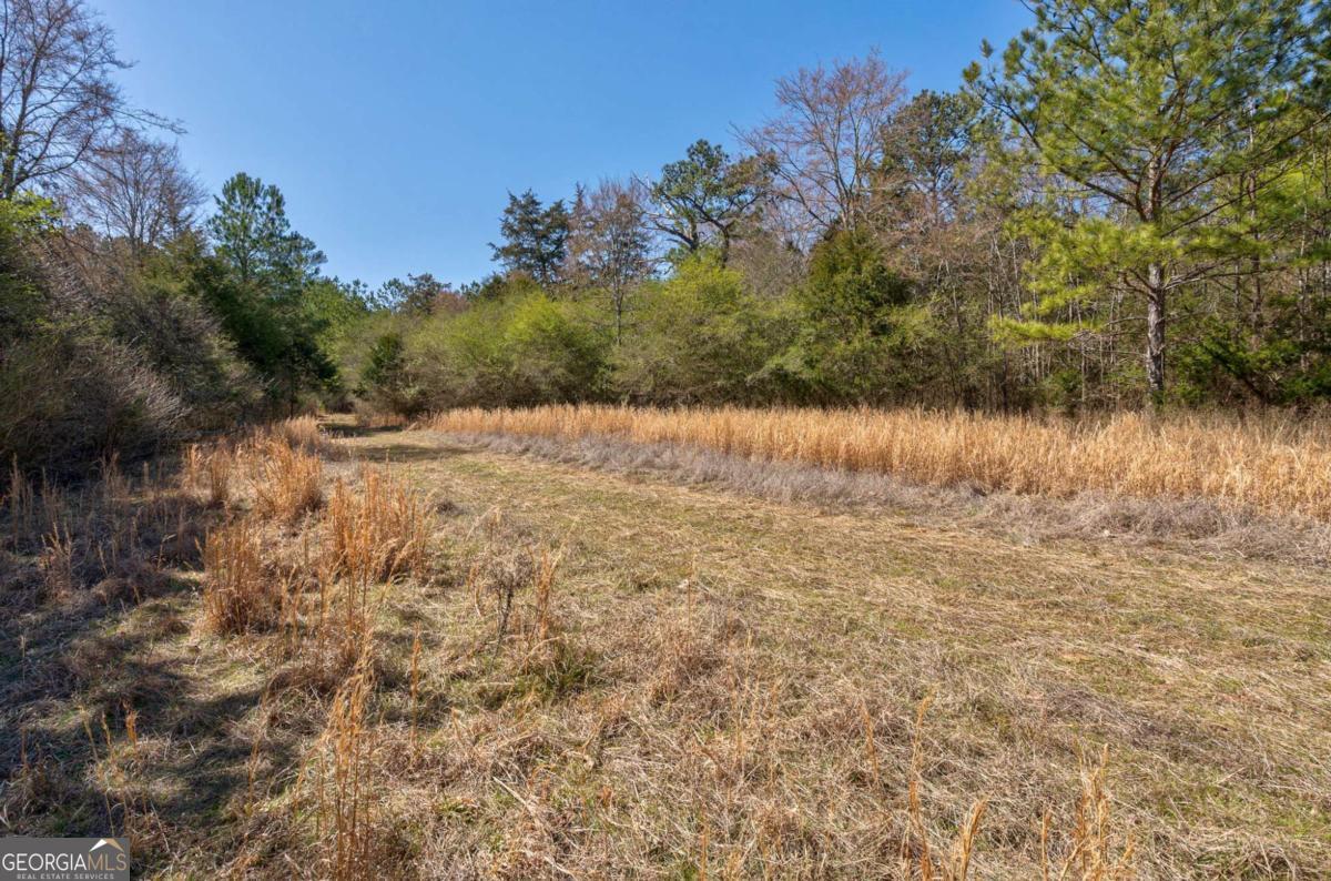 304 Kent Rock Road, Unit TRACT 3 Loganville, GA 30052 - Photo 6 of 16