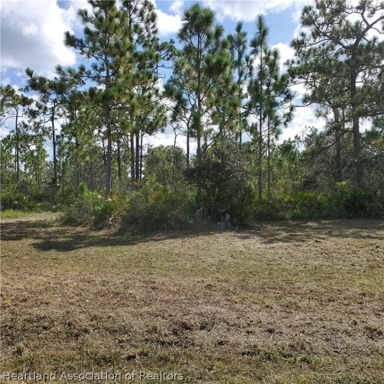 540 Oliver Road Venus, FL 33960 - Photo 1 of 5 Gallery Image 1