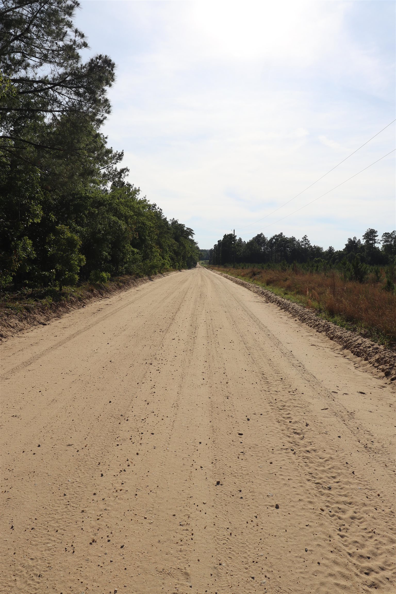 2631 Charlie Johnson Road Bethune, SC 29009 - Photo 7 of 29