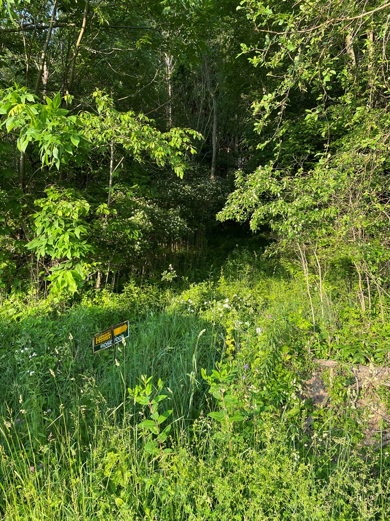 123 Williams Road Emlenton, PA 16373 - Photo 4 of 4