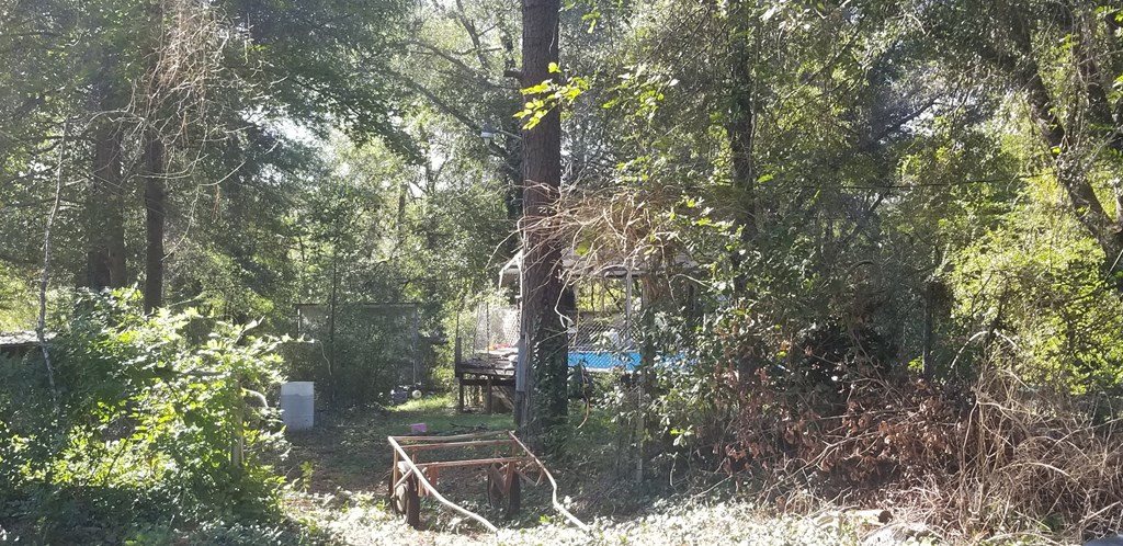 751 Done Roven Road Augusta, GA 30906 - Photo 5 of 9