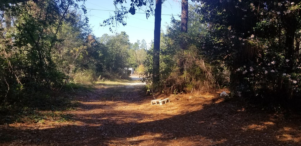 751 Done Roven Road Augusta, GA 30906 - Photo 6 of 9