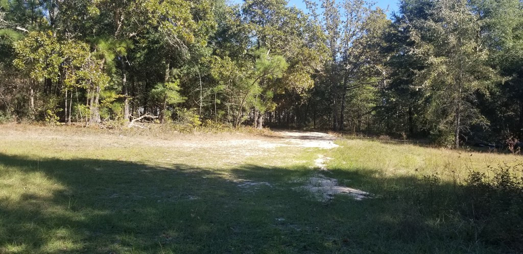 751 Done Roven Road Augusta, GA 30906 - Photo 8 of 9