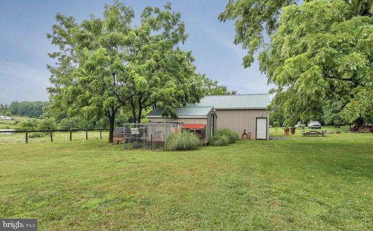 Back yard
