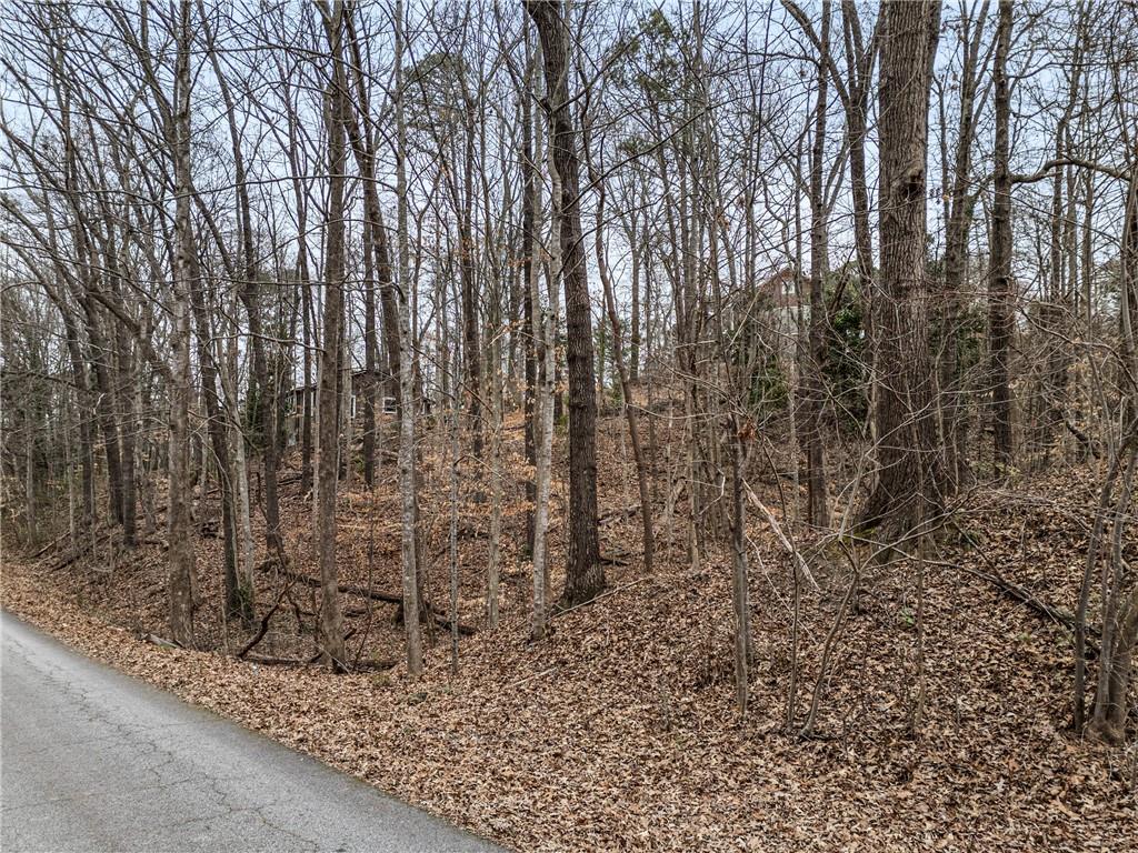 91 Remsdale Street Toccoa, GA 30577 - Photo 3 of 10