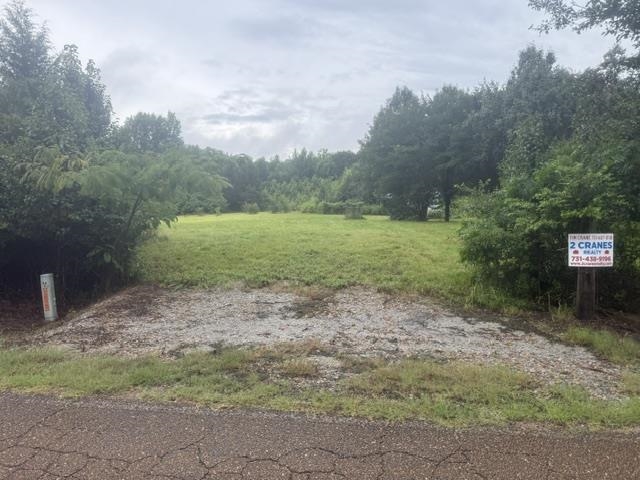 1100 Pine Top Road Toone, TN 38381 - Photo 39 of 40 Expansive grass lot featuring surrounding mature trees and a gravel driveway apron