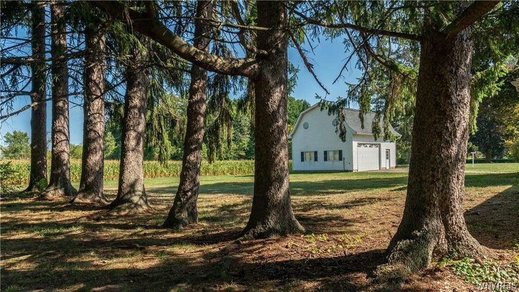2084 Richardson Road Collins, NY 14034 - Photo 39 of 50