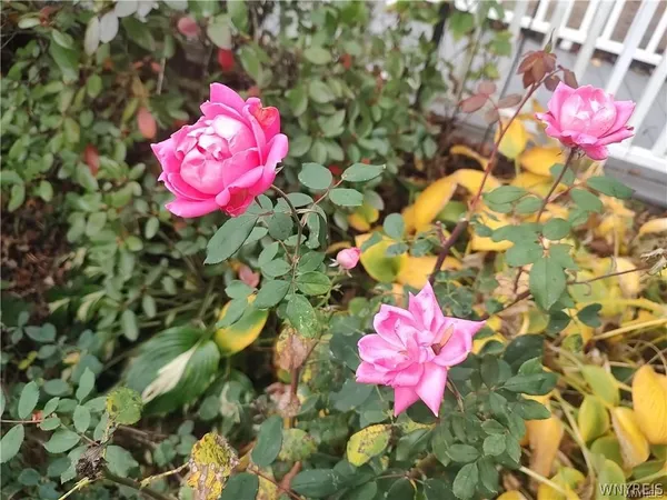 $399,000 | 2084 Richardson Road, Collins, NY 14034