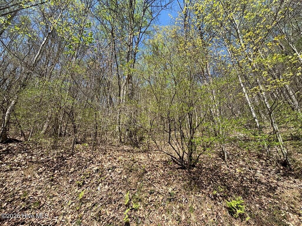 Lot 4 Outlook Road Murphy, NC 28906 - Photo 4 of 10